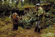 Ewok70