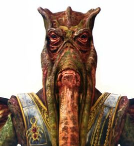 PogglePortrait