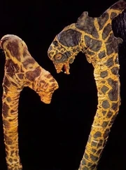  , заявивший своим родителям о своём желании путешествовать по 