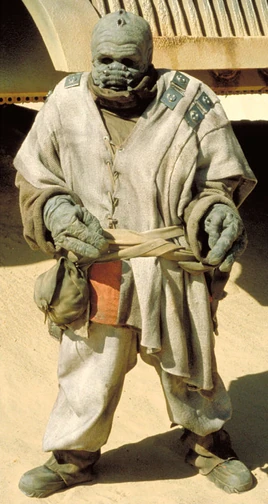 PoteSnitkinFull-RotJAVA