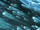 AbafarComets.png