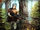 Pathfinders - SWGTCG.jpg