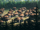 ShiliVillage-LaD.png