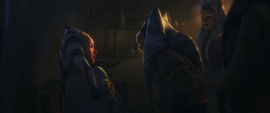 Ahsoka birth