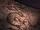 Dug writing.png