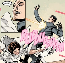 Гибель Дрида.