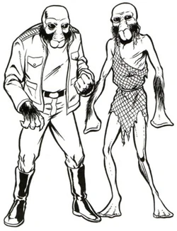 Мужчина-квар (слева) и женщина-аквала (справа)