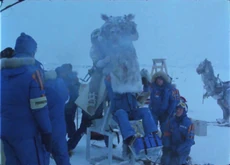 Hamill tauntaun filming