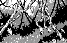 Лианные змеи на ветвях деревьев