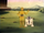 Droids farerwell CatS.png