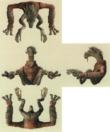 Компьютерная модель Себоки.