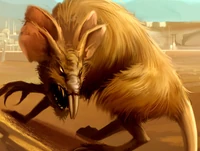 Вомп-крыса — хищный грызун с 