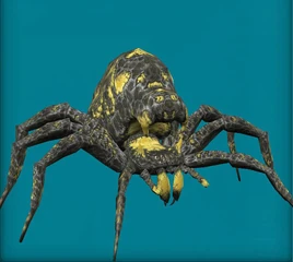 Cavern spider SWG