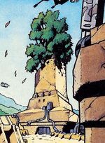 Tree on the Roof
