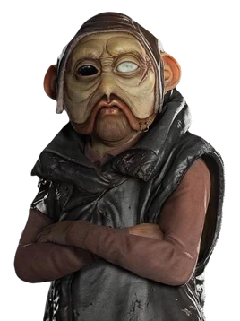 SuratNuatPortrait-SWOutlaws