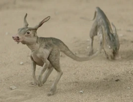 Scurriers-The Mandalorian