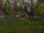 Ancient shrine valley.png