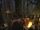 Endor celebration.jpg