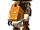 Aree-main-1.png