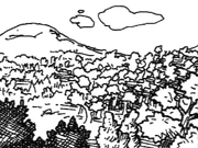 Баффоррский лес на Каторских холмах.