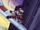 Malcoms on a Plane.png