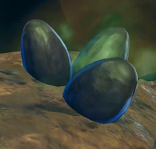 Яйца килликов, отравленных «Молоком матери»