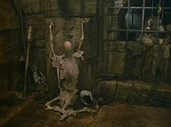 Кости Салака Вита