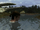 Lianorm Swamp TPMgame.png
