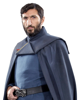 Vasp-Vaspar-SWCT