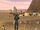 Agent at Junktown.jpg