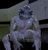 Ракгул Тариса