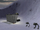 AT-PTs boarding at Raptor.png