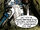 SWLegacy12p22-specialguest.jpg