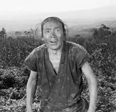 Крестьянин Матасити («Скрытая крепость»).