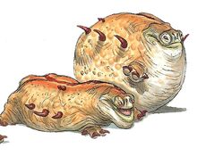Gullipuds1