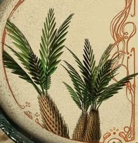 Папоротник, произраставший на 