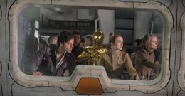 Транспортники пытаются скрыться