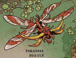 Piranha beetle