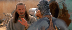 Qui-Gon mind trick