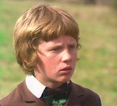 Peter Firth in The Flaxton boys