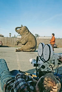 Марджи снимают для создания анимации движений AT-AT.