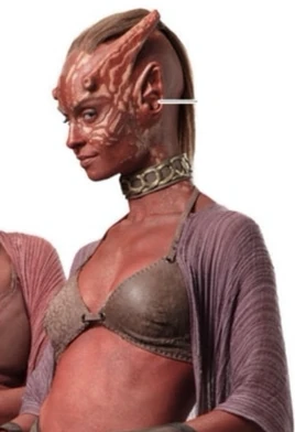 Charlu-Sisi-TROSVD-2-