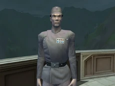 Полковник Вирс