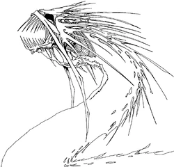 Бороться предстояло против 