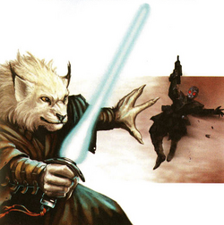 Jedi fights Sith assassin