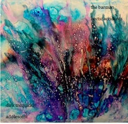 The Barman: Hectic Accidents (2008)