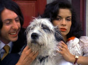 Dirk and Martini's dog