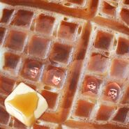 Travolta (113 KB) Travolta, an unreleased concept album from 1967.