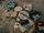 Gallery of Buttons