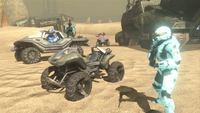 Reds and Blues back at Sandtrap.png